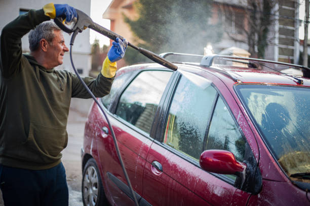 Best Pressure Washing Near Me  in Los Lunas, NM